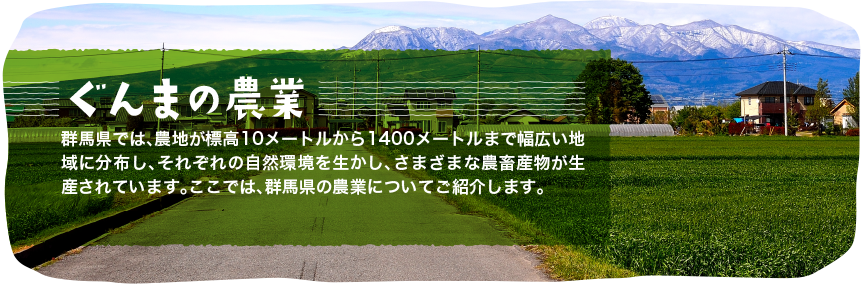 ぐんまの農業
群馬県では、農地が標高１０メートルから１４００メートルまで幅広い地域に分布し、それぞれの自然環境を生かし、様々な農畜産物が生産されています。
ここでは、群馬県の農業についてご紹介します。