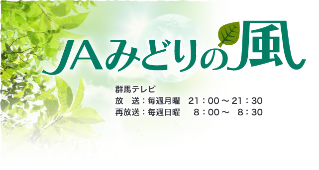 ＪＡみどりの風